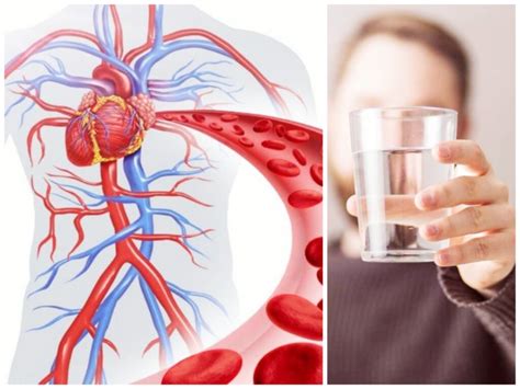 10 benefits to your body of drinking warm water in the morning and also ...