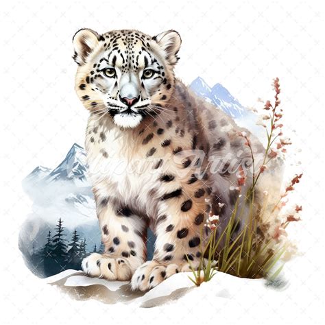 20 High Quality Cute Snow Leopard Clipart Cute Snow Leopard Etsy