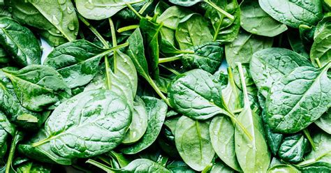 Spinach 101 Nutrition Facts And Health Benefits