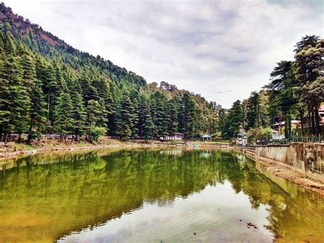 Dal Lake In Mcleodganj Lake In Mcleodganj Things To Do Travel Fun