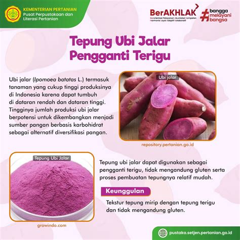 Tepung Ubi Jalar Sebagai Pengganti Terigu