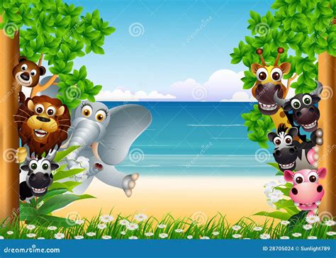 Funny Animals Cartoon Stock Illustration Illustration Of Mandrill