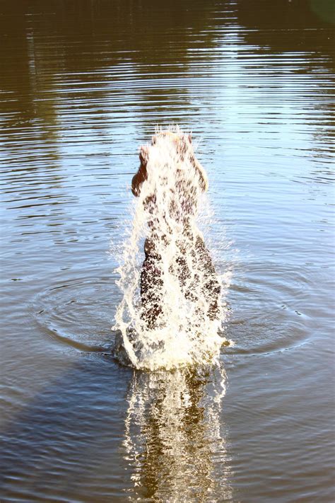 Private Photos 8804 IMG 53 Porn Pic