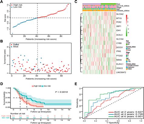 Frontiers Identification Of A Novel Ferroptosis Related Gene Signature Associated With