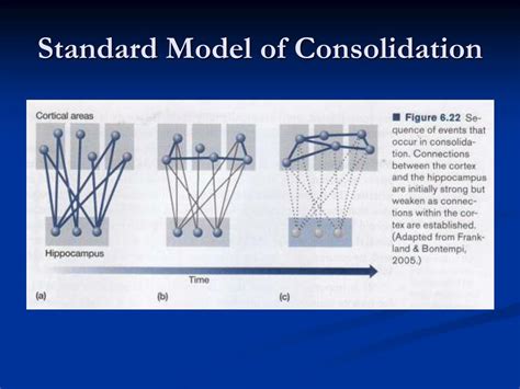 PPT - Memory and Cognition PowerPoint Presentation, free download - ID ... 