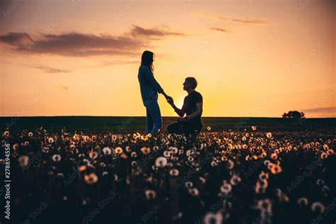 Silhouettes Of A Man Making Marriage Proposal To His Girlfriend On The Spring Meadow At Sunset