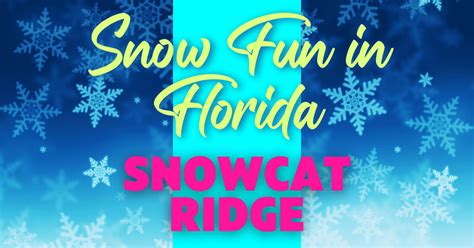 Snowcat Ridge Alpine Village - A Flurry of Fun in Florida