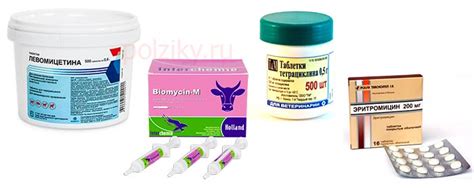 Антибиотики для кур – ответы на вопросы