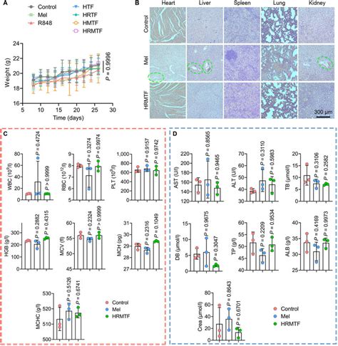 A Body Weight Changes Of The Bilateral T Tumor Bearing Balb C Mice