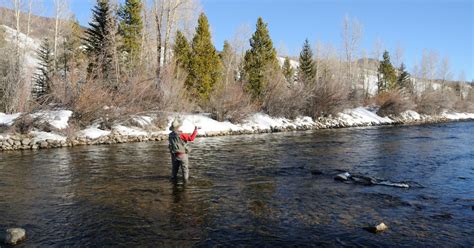 Winter Trout Fishing: Top Tips for the Colder Months