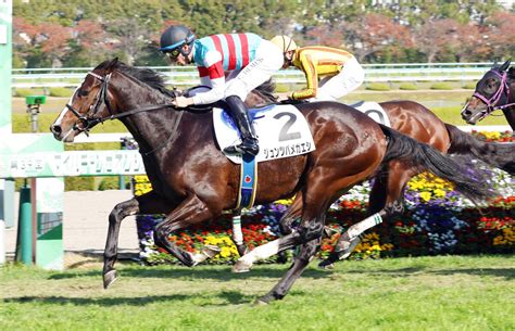 【阪神4r・2歳未勝利】ジュンツバメガエシ2戦目で初勝利 半兄アドマイヤラクティは豪州g1を優勝 Umatoku 馬トク