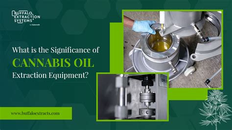 Significance Of Cannabis Oil Extraction Equipment A Guide