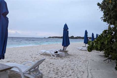Malahini Kuda Bandos Resort Review [Maldives Resort Review] - ASocialNomad