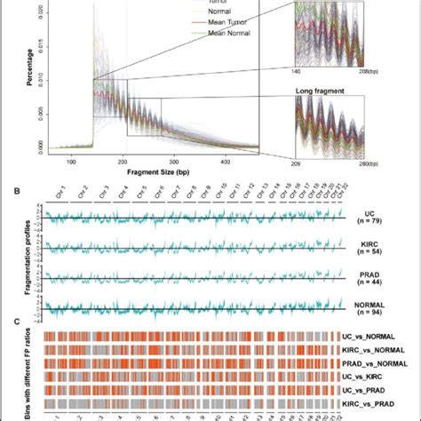 Fragmentation Profiles Of Urinary Cfdna A Overall Size Distribution