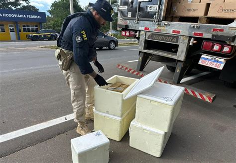 PRF apreende quase 200 tabletes de cocaína dentro de caminhão