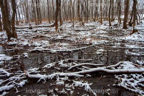 【雪解け水】の画像素材50296114 写真素材ならイメージナビ