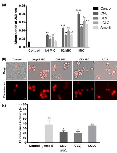 Membrane Integrity Assays Of C Albicans Rsy150 Exposed To Eos A