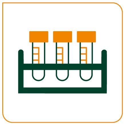 INDICE DE SATURAÇÃO DA TRANSFERRINA Laboratório Biofast