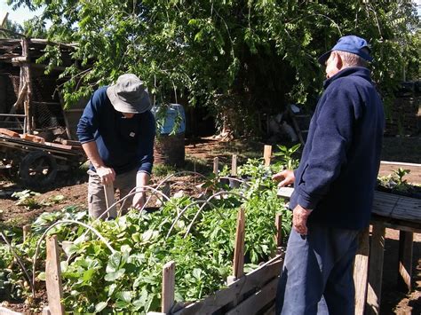 Hay Mil Huertas Agroecol Gicas Familiares En Mendoza C Mo Tener La