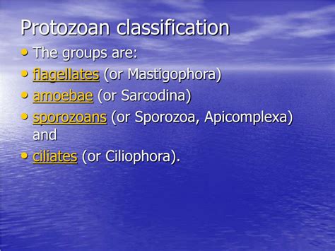 Ppt Intestinal And Luminal Protozoa Powerpoint Presentation Free