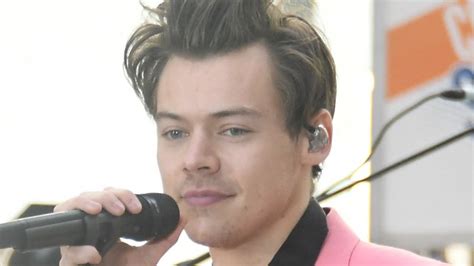 Harry Styles Admits Hes Never Felt The Need To Label His Sexuality