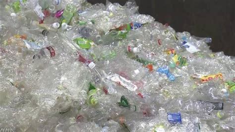 1からわかる！プラスチックごみ問題（2）｜nhk就活応援ニュースゼミ