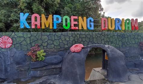 Ini Dia Rekomendasi Wisata Hemat ! 5 Tempat Wisata Jember dan Lokasinya ...