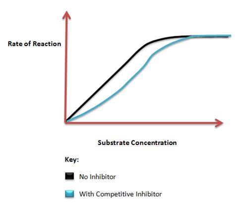 Competitive vs Non-Competitive Inhibition | Science Decoder