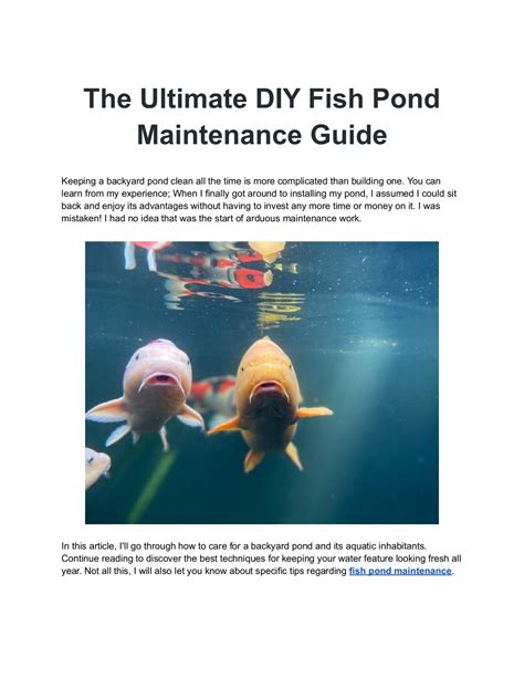 The Ultimate DIY Fish Pond Maintenance Guide - Play It Koi - Page 1 - 5