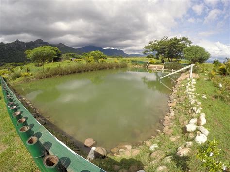 Mud Pools And Hot Springs In Fiji