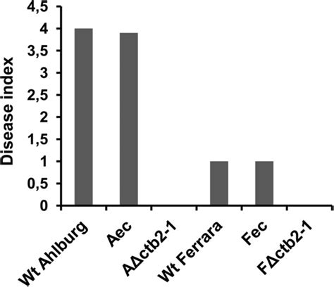 Disease Indices Of Sugar Beets Exposed To C Beticola Plants Were