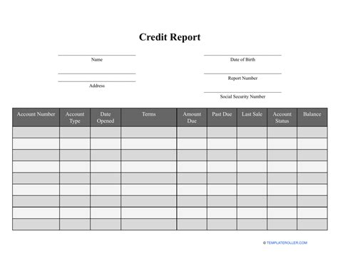 Credit Report Template Fill Out Sign Online And Download Pdf