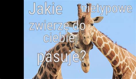 Jakie Nietypowe Zwierz Do Ciebie Pasuje Samequizy