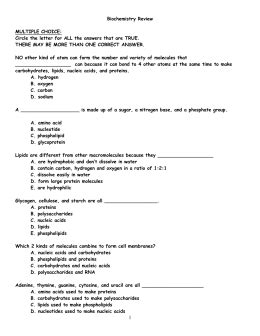 Biochemistry Worksheet