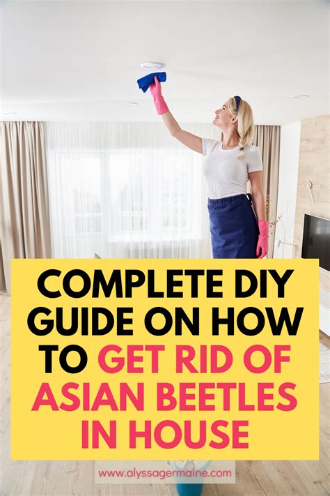 Complete Diy Guide On How To Get Rid Of Asian Beetles In House Artofit