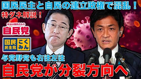 特ダネ解説！国民民主と連立を企てる菅義偉。考えも信念もない岸田首相が考える窮余の策。支持率最低更新で右往左往！元朝日新聞・記者佐藤章さんと一月