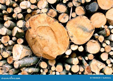 Pezzi Di Legno Del Tronco Fotografia Stock Immagine Di Sega