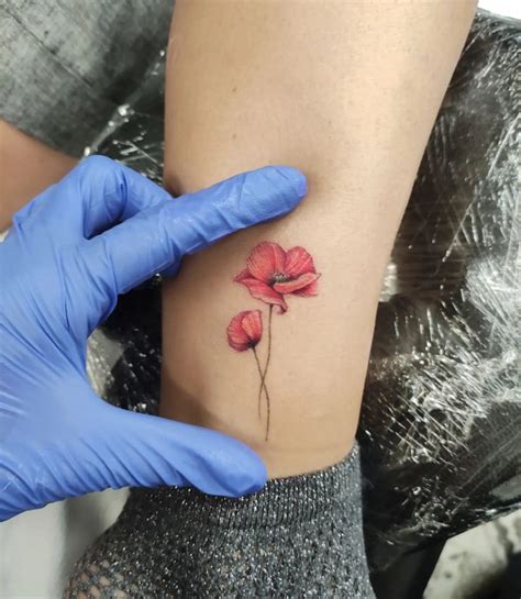 Poppy Tattoo Outline Fairhatadriel