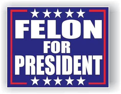 Felon For President 2024 Red White Blue Full Color Vinyl