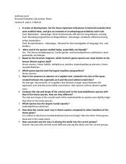 Hominin Evolution Lab Answer Sheet Docx Anthony Lonzi Hominid