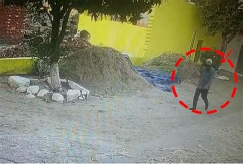 New Cctv Footage Of Amritpal Singh S Key Aide Papalpreet Emerges Seen Roaming Alone In Hoshiarpur