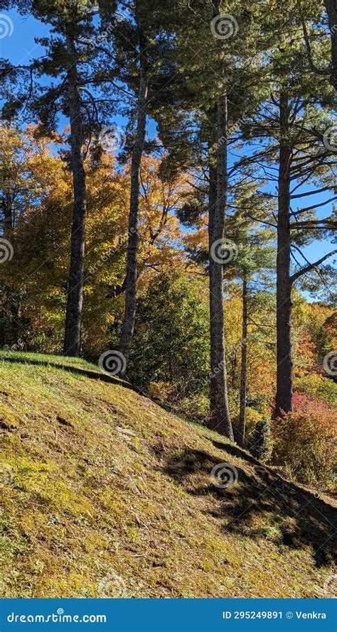 Fall Colors in a Blue Ridge Parkway Mountain Stock Image - Image of ...