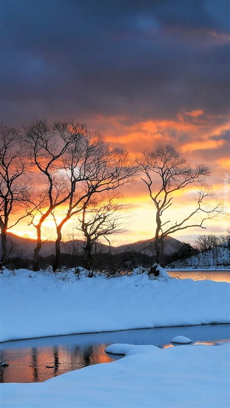 Ciemne Chmury I Drzewa W Niegu Nad Jeziorem Lake Hibara Tapeta Na