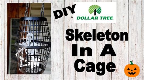 Skeleton Cage Dollar Tree Diy Youtube