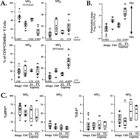 Representation Of Functionally Polarized T Cell Subsets In Individuals Download Scientific