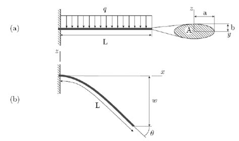 Schematic Drawing Of The Cantilever Arrangement In Undeformed A And Download Scientific