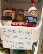 Insanely Hilarious Elf On The Shelf Ideas Stylin By Sarita