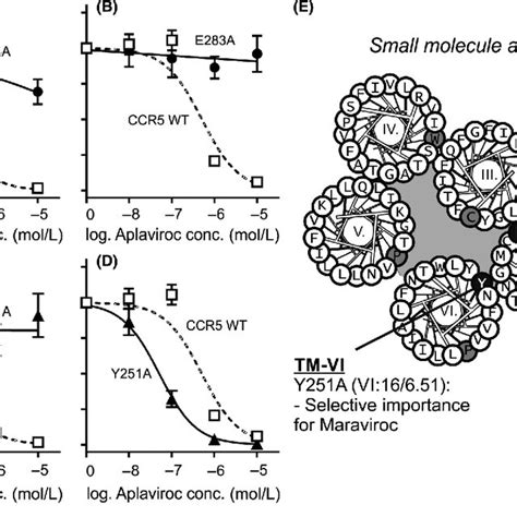 Dose Dependent Inhibition Of Cell Cell Fusion Using Maraviroc And