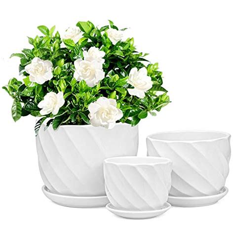 Foraineam Lot De Pots De Fleurs Ronds Modernes En C Ramique De Petite