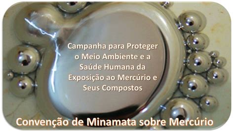 Projeto Merc Rio